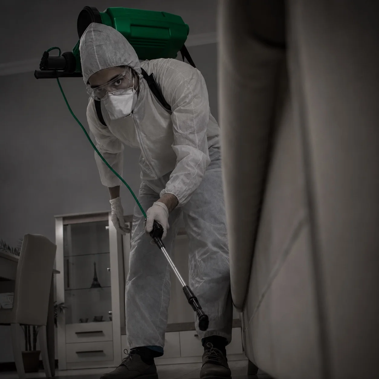Pest control coming soon